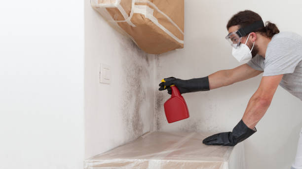 Professional Black Mold Removal technician working in Myersville, MD