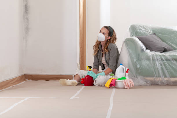 Reliable Black Mold Removal contractor in Myersville, MD by WQB Mold Removal