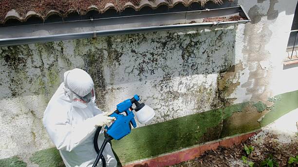 Top rated local Black Mold Removal specialists in Myersville, MD